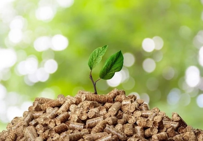 2026-02-25 15_52_43-Window